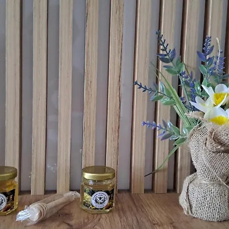 Mala Avantura Apartman Doboj